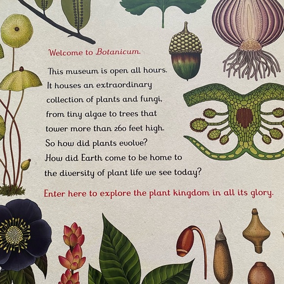 Book Bundle of 3 - Planetarium - Botanicum - Animalium - Picture 7 of 8